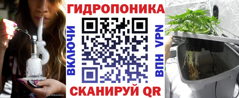 Сколько стоит Ершов Галлюциногенные грибы  ГЕРОИН  КЕТАМИН  Меф  Бошки Шишки 
