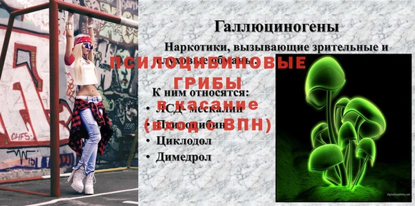 ECSTASY Горняк