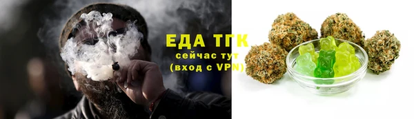 ECSTASY Горняк
