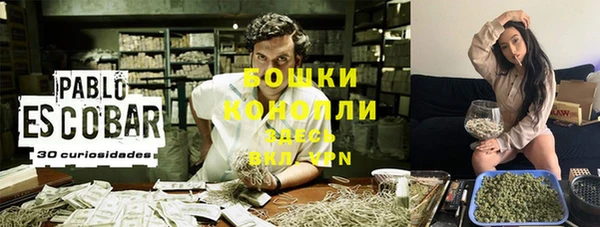ECSTASY Горняк